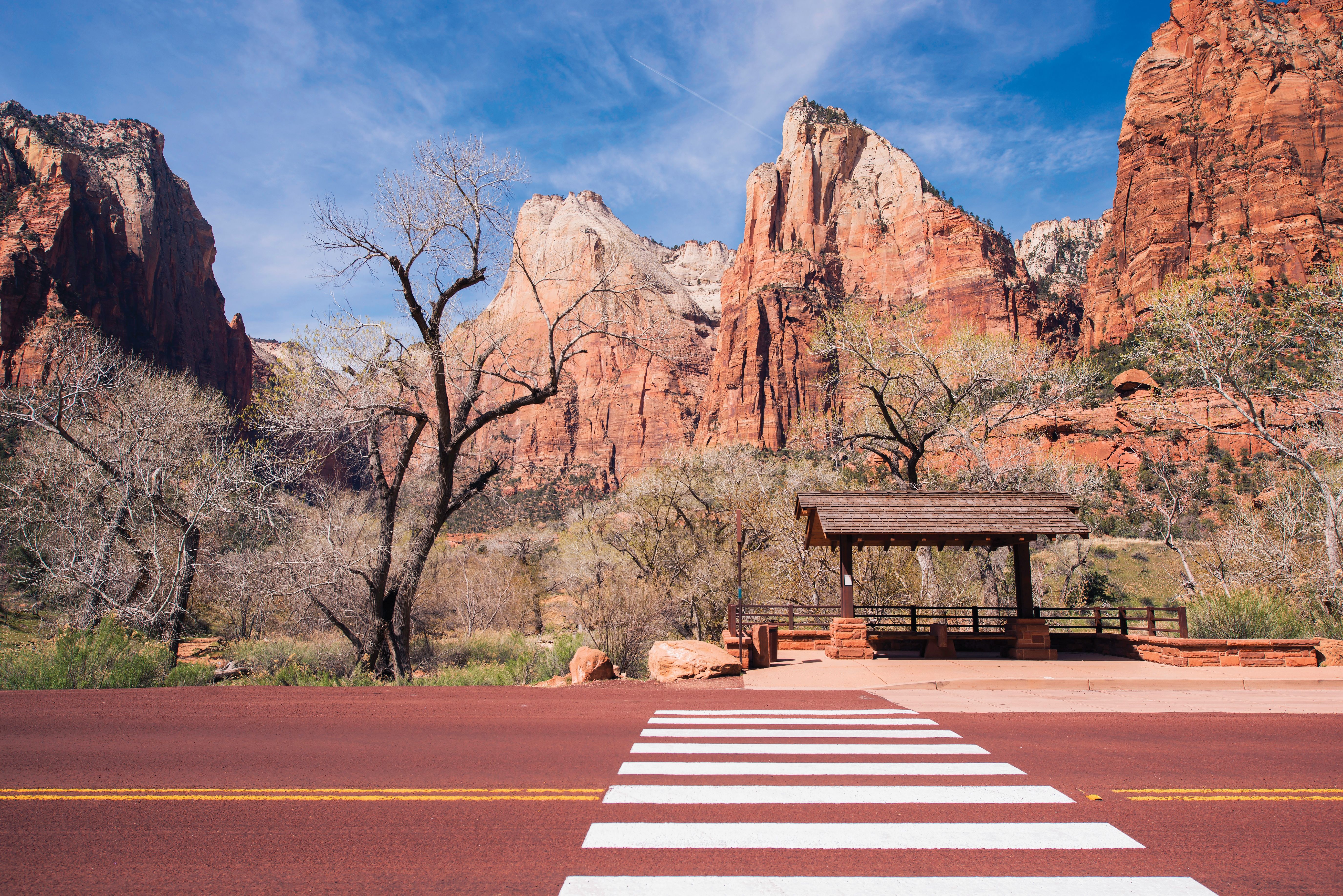 zion-bus-stop-2026-03-20-02-16-49-utc
